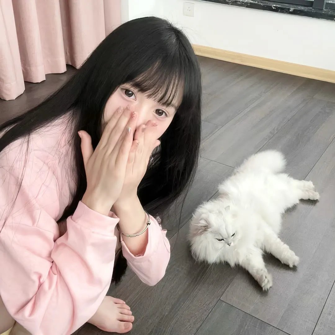 四渡赤水